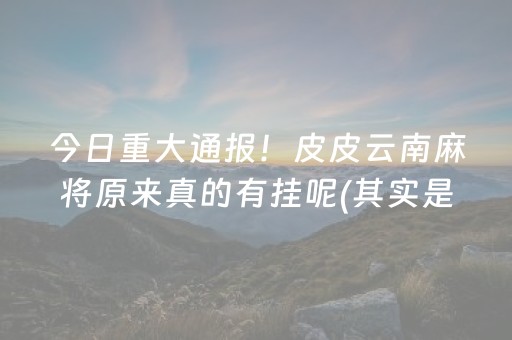 今日重大通报！皮皮云南麻将原来真的有挂呢(其实是有挂的)