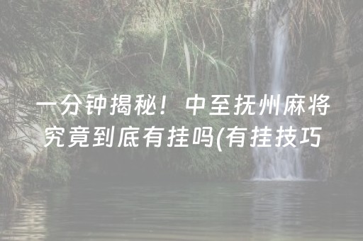 一分钟揭秘！中至抚州麻将究竟到底有挂吗(有挂技巧辅助器)