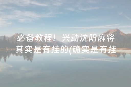 必备教程！兴动沈阳麻将其实是有挂的(确实是有挂)