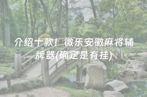 介绍十款！微乐安徽麻将辅牌器(确定是有挂)