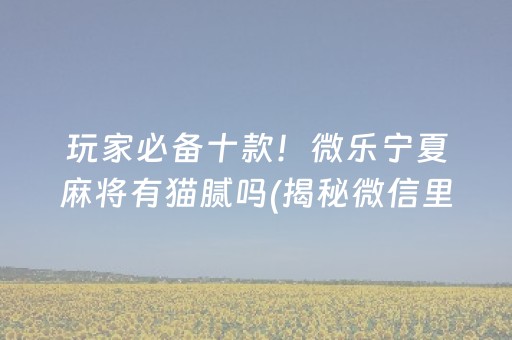 玩家必备十款！微乐宁夏麻将有猫腻吗(揭秘微信里系统发好牌)