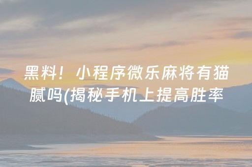 黑料！小程序微乐麻将有猫腻吗(揭秘手机上提高胜率)