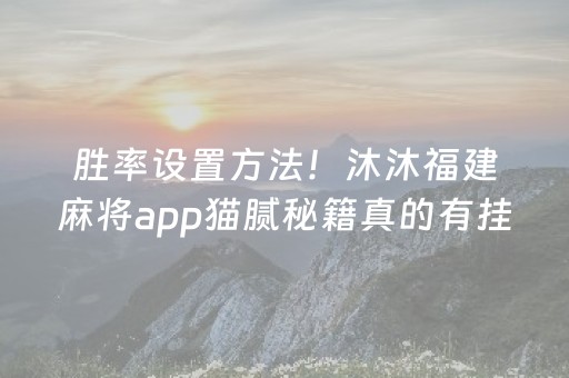 胜率设置方法！沐沐福建麻将app猫腻秘籍真的有挂(确实有挂)