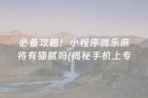 必备攻略！小程序微乐麻将有猫腻吗(揭秘手机上专用神器)