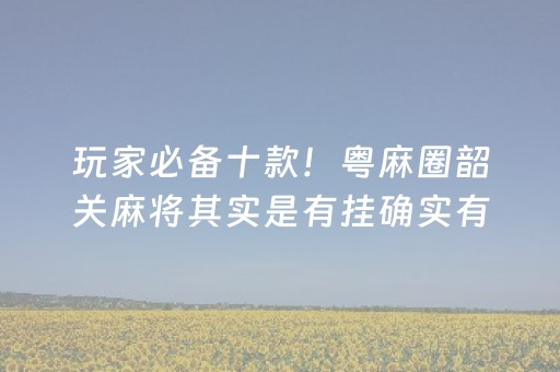 玩家必备十款！粤麻圈韶关麻将其实是有挂确实有挂(确实有挂吗)