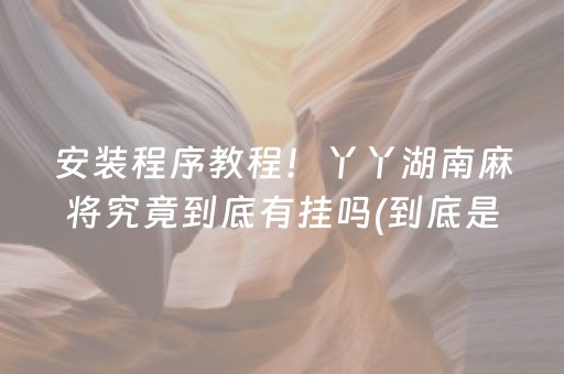 安装程序教程！丫丫湖南麻将究竟到底有挂吗(到底是不是有挂)