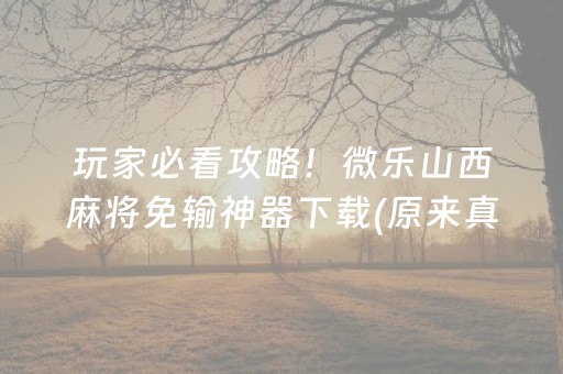 玩家必看攻略！微乐山西麻将免输神器下载(原来真的有挂)