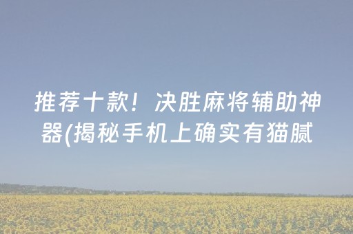推荐十款！决胜麻将辅助神器(揭秘手机上确实有猫腻)