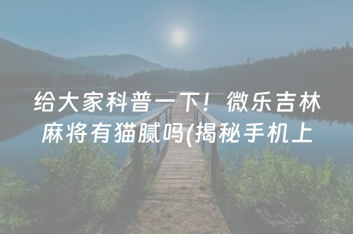 给大家科普一下！微乐吉林麻将有猫腻吗(揭秘手机上助攻神器)