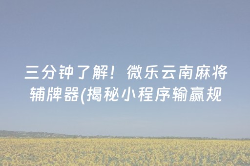 三分钟了解！微乐云南麻将辅牌器(揭秘小程序输赢规律)