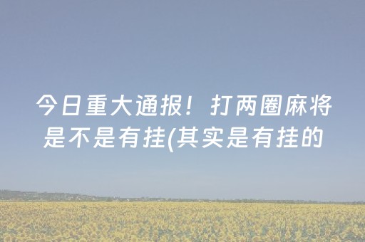 今日重大通报！打两圈麻将是不是有挂(其实是有挂的)