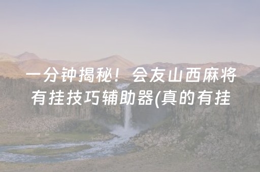 一分钟揭秘！会友山西麻将有挂技巧辅助器(真的有挂确实有挂)