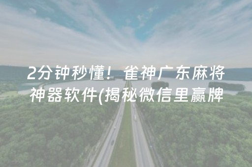 2分钟秒懂！雀神广东麻将神器软件(揭秘微信里赢牌的技巧)