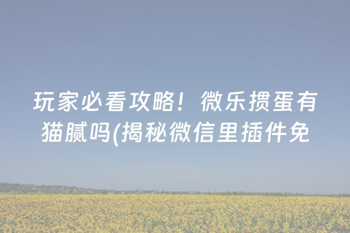 玩家必看攻略！微乐掼蛋有猫腻吗(揭秘微信里插件免费)