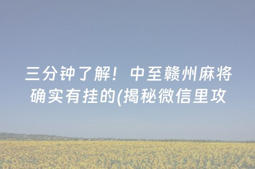 三分钟了解！中至赣州麻将确实有挂的(揭秘微信里攻略插件)