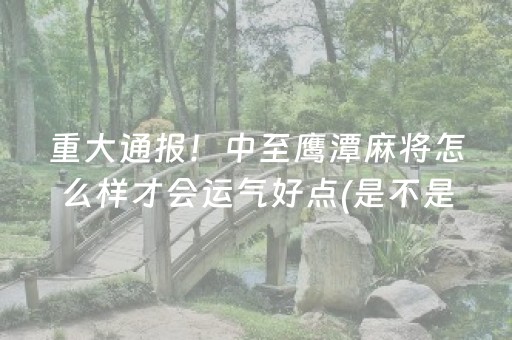 重大通报！中至鹰潭麻将怎么样才会运气好点(是不是有挂)