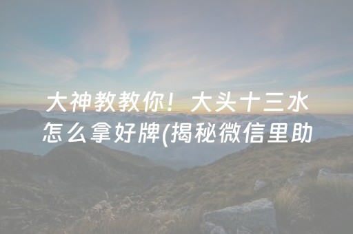 大神教教你！大头十三水怎么拿好牌(揭秘微信里助赢神器)