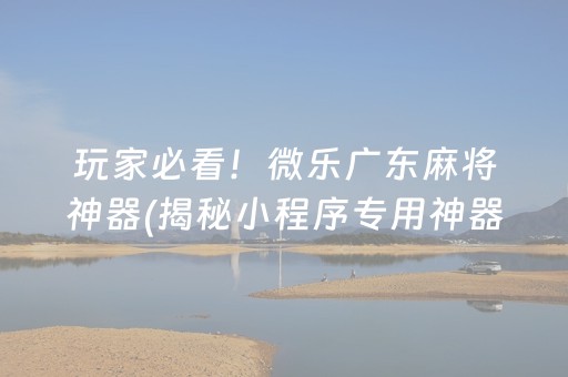 玩家必看！微乐广东麻将神器(揭秘小程序专用神器)