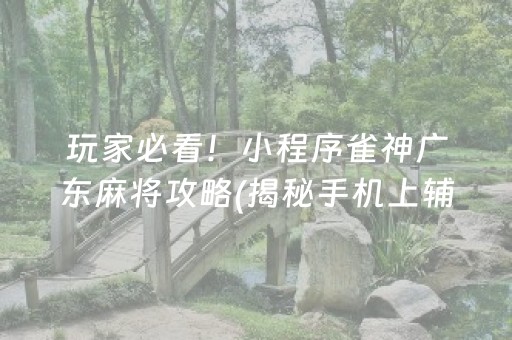 玩家必看！小程序雀神广东麻将攻略(揭秘手机上辅牌器)