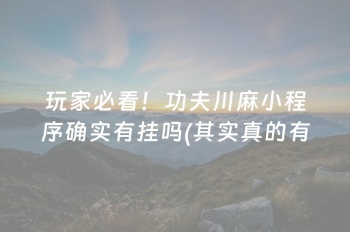 玩家必看！功夫川麻小程序确实有挂吗(其实真的有挂)