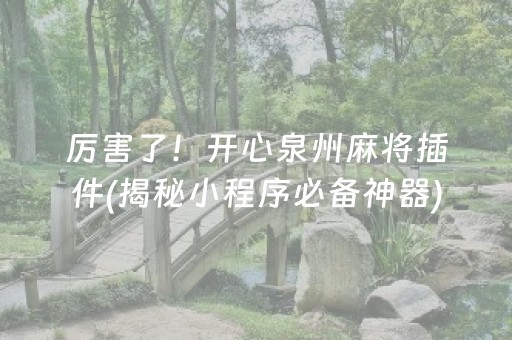 厉害了！开心泉州麻将插件(揭秘小程序必备神器)