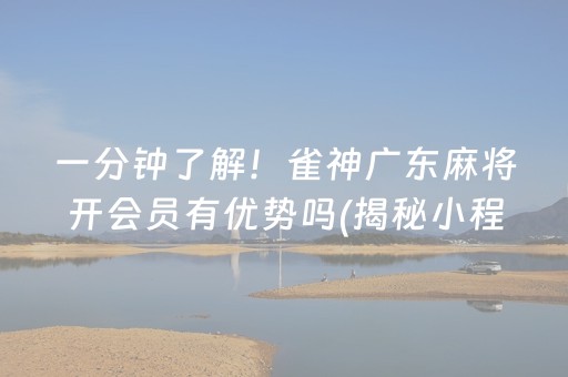 一分钟了解！雀神广东麻将开会员有优势吗(揭秘小程序必备神器)