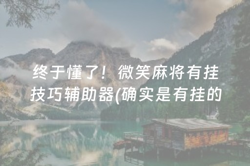 终于懂了！微笑麻将有挂技巧辅助器(确实是有挂的)