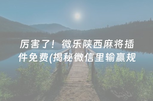 厉害了！微乐陕西麻将插件免费(揭秘微信里输赢规律)