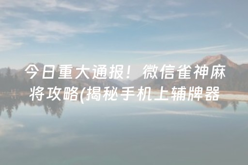 今日重大通报！微信雀神麻将攻略(揭秘手机上辅牌器)