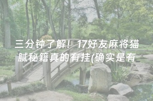 三分钟了解！17好友麻将猫腻秘籍真的有挂(确实是有挂的)