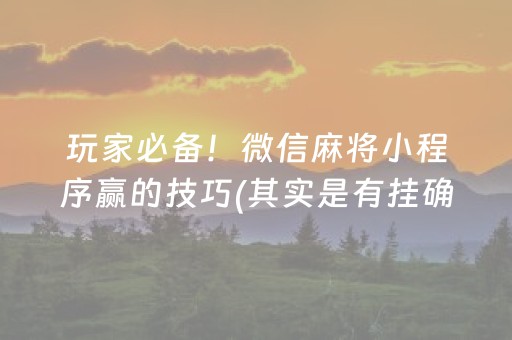 玩家必备！微信麻将小程序赢的技巧(其实是有挂确实有挂)