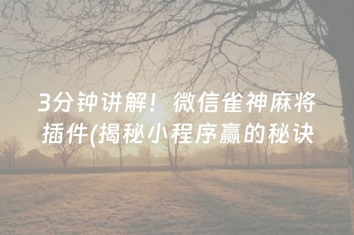 3分钟讲解！微信雀神麻将插件(揭秘小程序赢的秘诀)