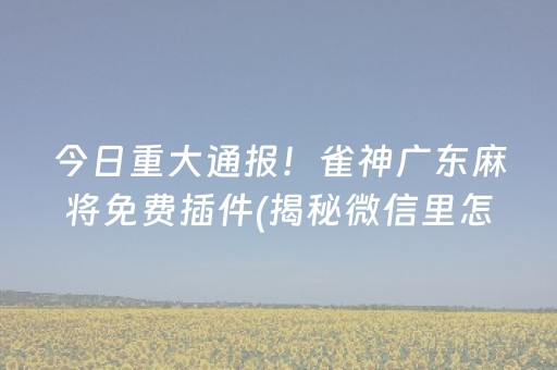 今日重大通报！雀神广东麻将免费插件(揭秘微信里怎么容易赢)