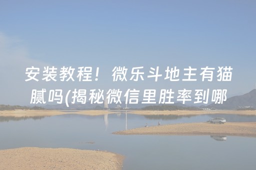 安装教程！微乐斗地主有猫腻吗(揭秘微信里胜率到哪调)