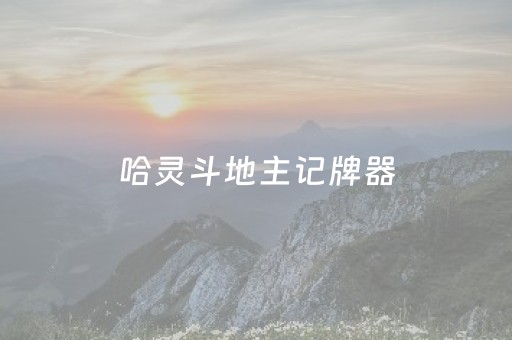 哈灵斗地主记牌器（哈灵斗地主记牌器可以购买吗）