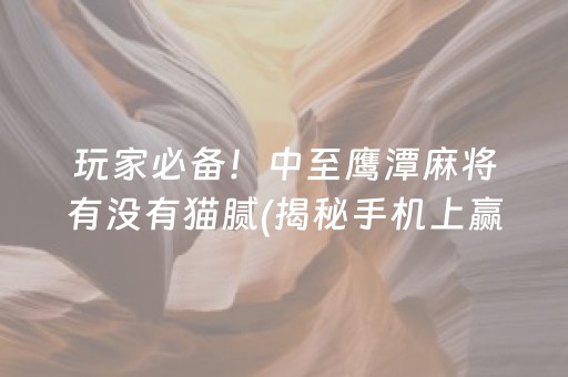 玩家必备！中至鹰潭麻将有没有猫腻(揭秘手机上赢牌技巧)