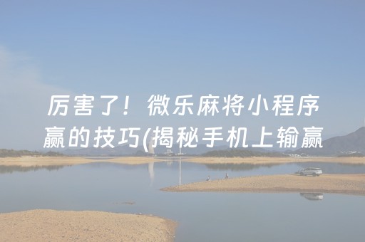 厉害了！微乐麻将小程序赢的技巧(揭秘手机上输赢规律)