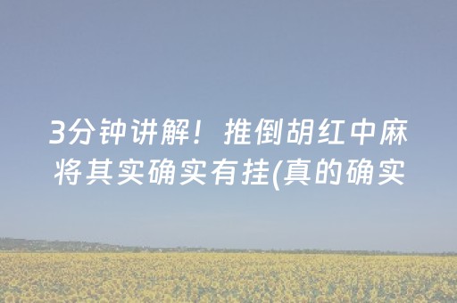 3分钟讲解！推倒胡红中麻将其实确实有挂(真的确实是有挂)