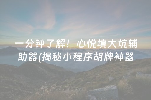 一分钟了解！心悦填大坑辅助器(揭秘小程序胡牌神器)