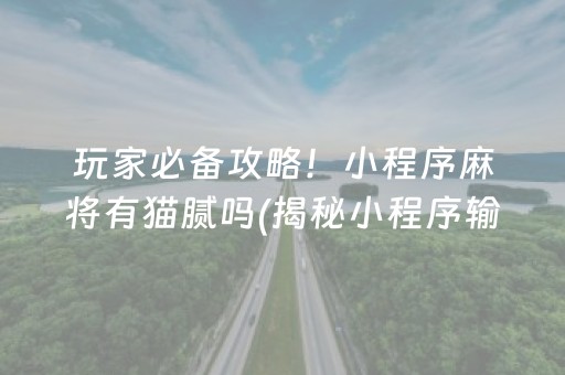 玩家必备攻略！小程序麻将有猫腻吗(揭秘小程序输赢技巧)