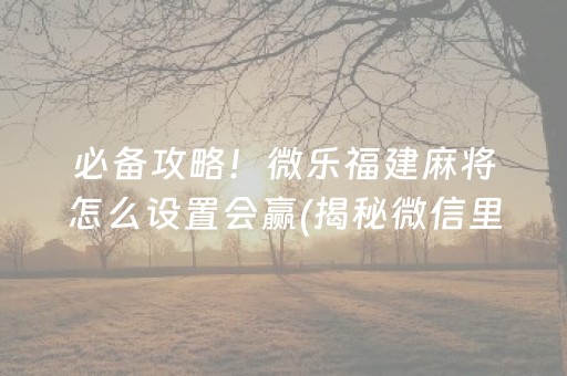 必备攻略！微乐福建麻将怎么设置会赢(揭秘微信里输赢规律)