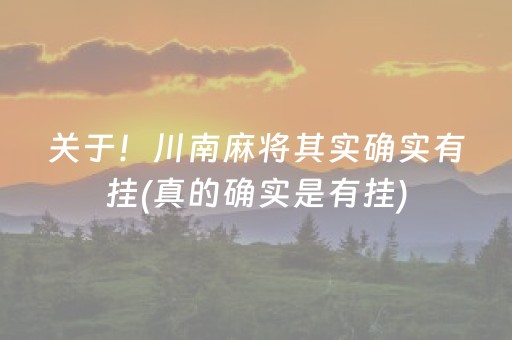 关于！川南麻将其实确实有挂(真的确实是有挂)