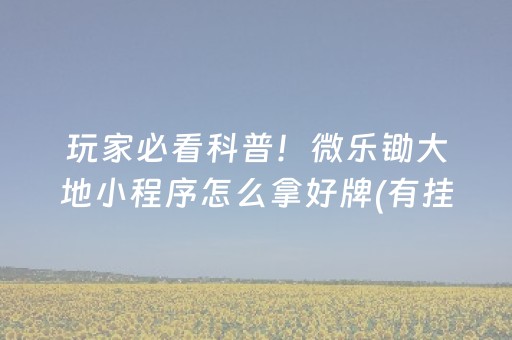 玩家必看科普！微乐锄大地小程序怎么拿好牌(有挂技巧辅助器)