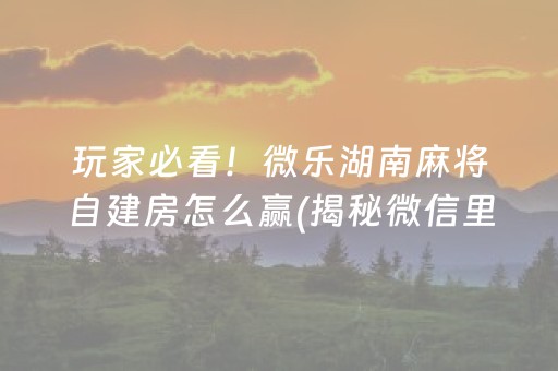 玩家必看！微乐湖南麻将自建房怎么赢(揭秘微信里辅牌器)