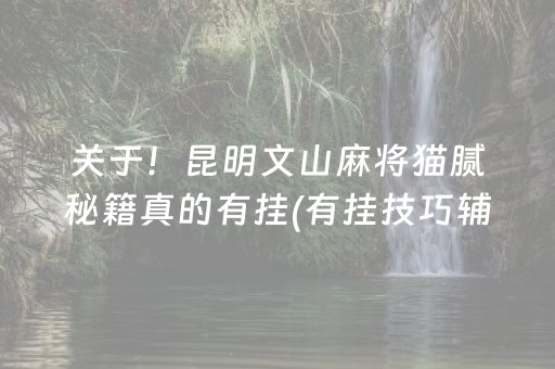 关于！昆明文山麻将猫腻秘籍真的有挂(有挂技巧辅助器)