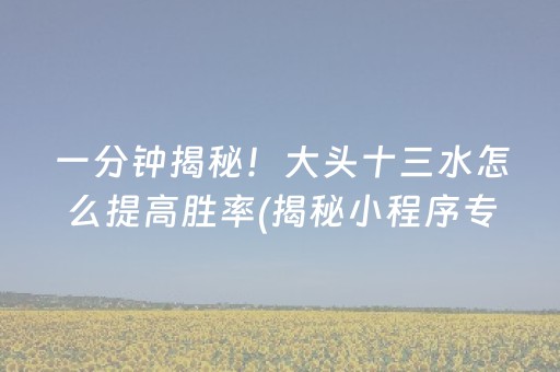 一分钟揭秘！大头十三水怎么提高胜率(揭秘小程序专用神器)