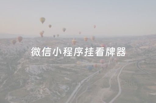 微信小程序挂看牌器（微信看牌器 透视）