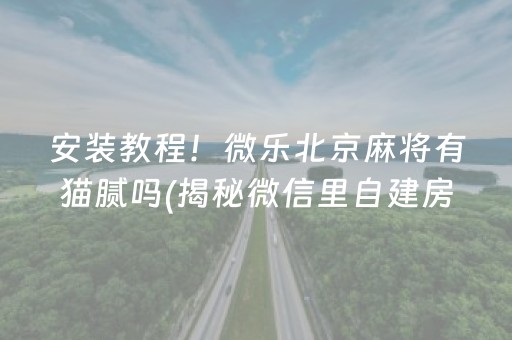 安装教程！微乐北京麻将有猫腻吗(揭秘微信里自建房怎么赢)