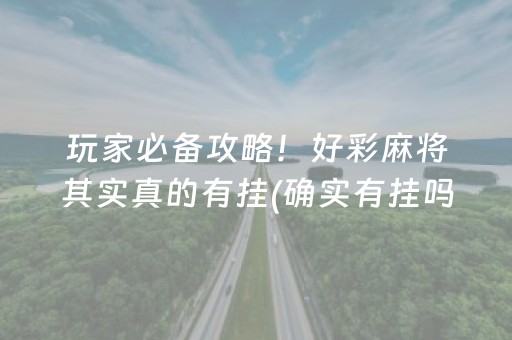 玩家必备攻略！好彩麻将其实真的有挂(确实有挂吗)