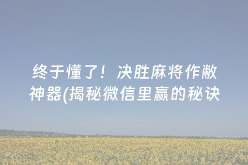 终于懂了！决胜麻将作敝神器(揭秘微信里赢的秘诀)